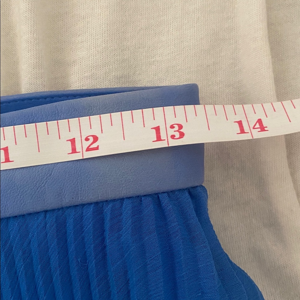 Blue Chiffon Pleated Alice + Olivia Maxi Skirt Size 4 - Picture 7 of 7
